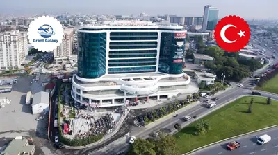 İstinye University (İSÜ) — Istanbul İstinye University (İSÜ) — Istanbul