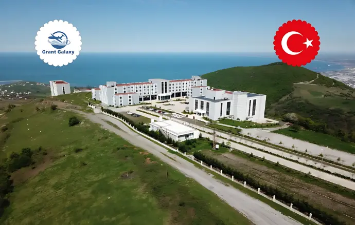 جامعة سامسون