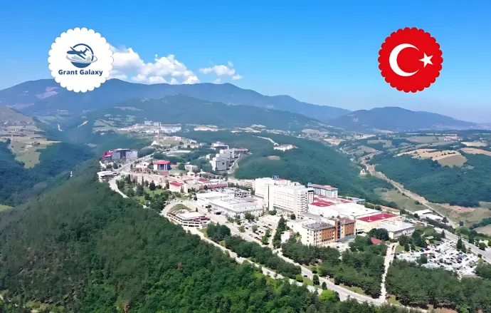 جامعة أماسيا